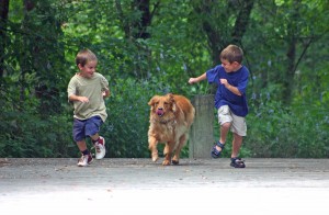 bigstockphoto_boys_racing_dog_866915